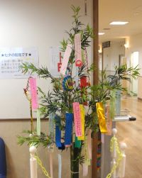 七夕の笹飾り