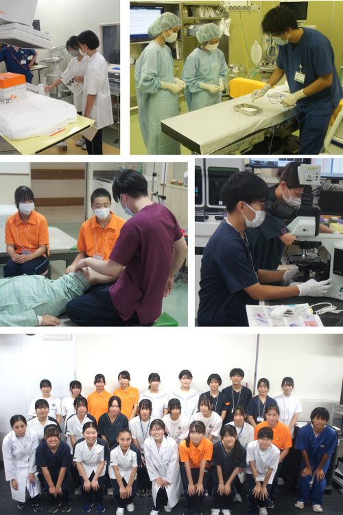 看護医療職業体験DAYの様子