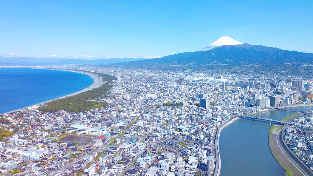 芙蓉協会の魅力イメージ