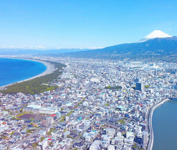 芙蓉協会の魅力イメージ